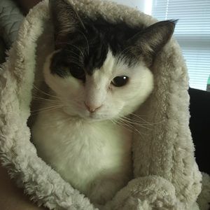 Meet your Posher, Faryn